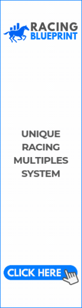 RacingBluePrint (160 x 600 px)