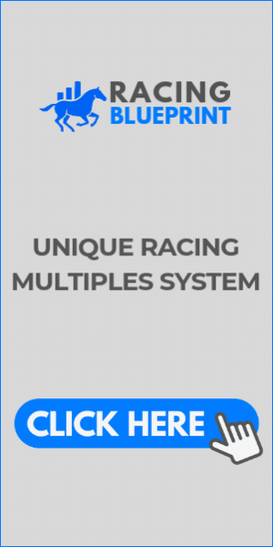 RacingBluePrint (300 x 600 px)